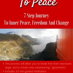From Anger To Peace - a book by Joanna Zajusz
