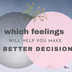 decisions and feelings
